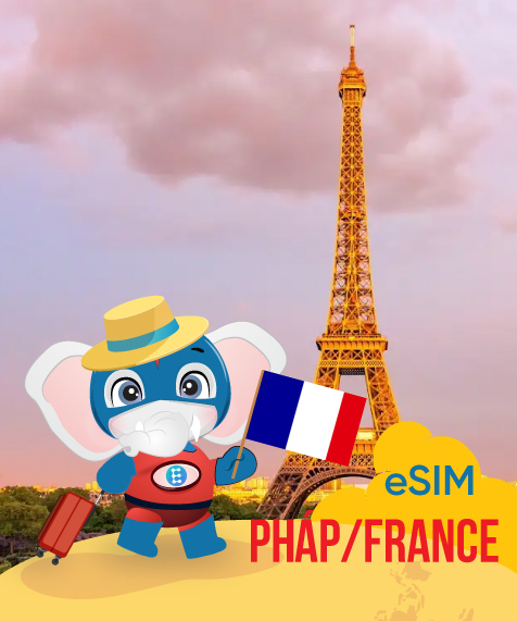 eSIM France 15 Day - 3 GB